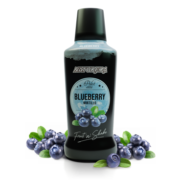 Fruit N Shake Blubbery Puree Polot 1882 750ml